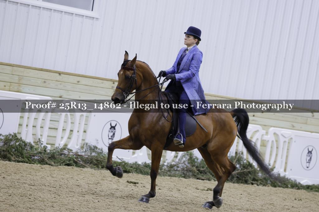 Proof 25R13_14862