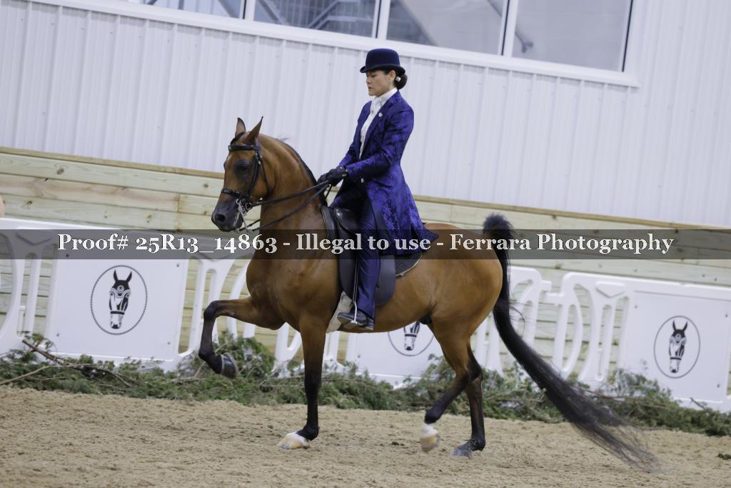 Proof 25R13_14863