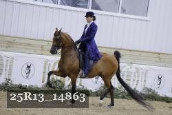 25R13_14863 proof