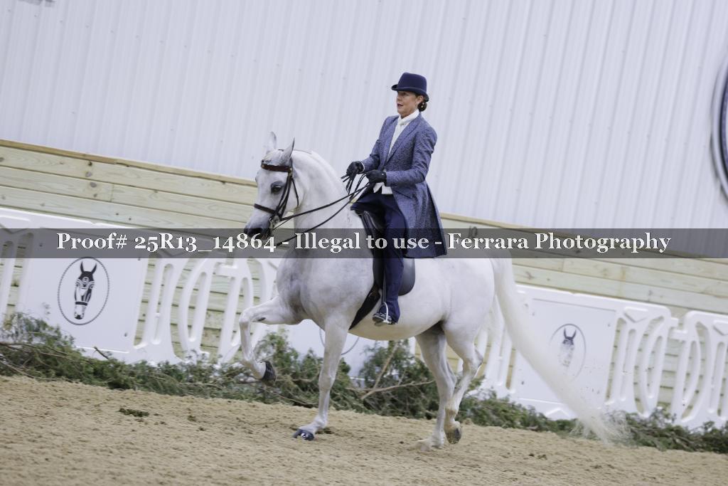 Proof 25R13_14864
