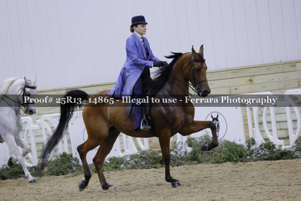 Proof 25R13_14865