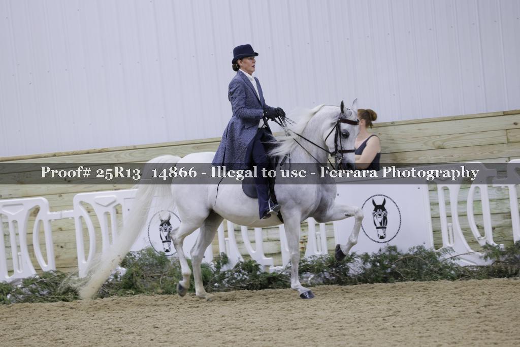 Proof 25R13_14866