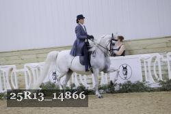 25R13_14866 proof