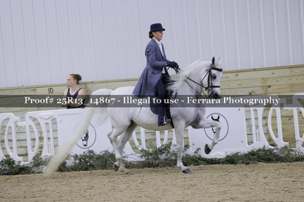 Proof 25R13_14867
