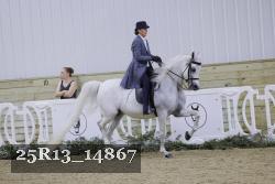 25R13_14867 proof