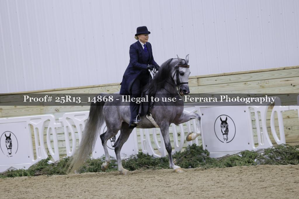 Proof 25R13_14868