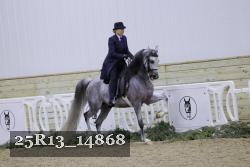 25R13_14868 proof