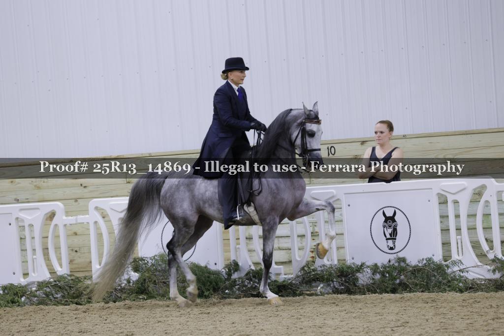 Proof 25R13_14869