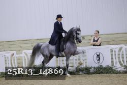 25R13_14869 proof