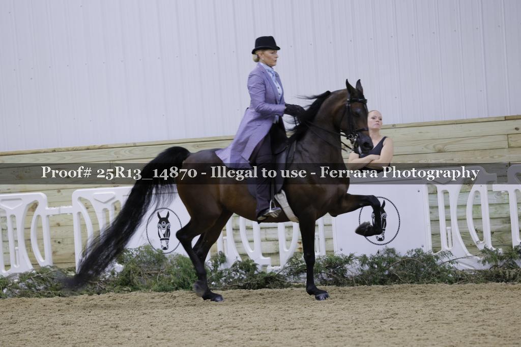 Proof 25R13_14870
