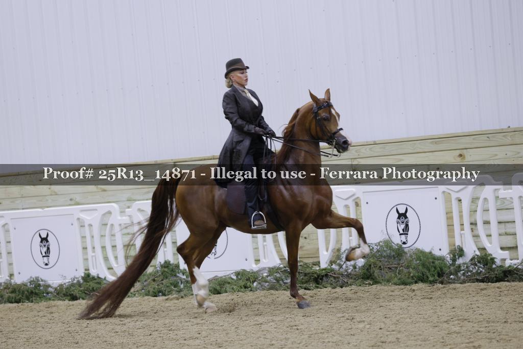 Proof 25R13_14871