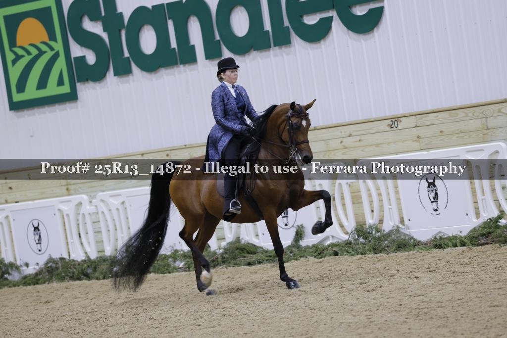 Proof 25R13_14872