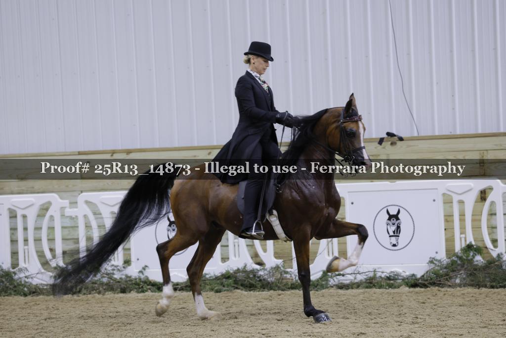 Proof 25R13_14873