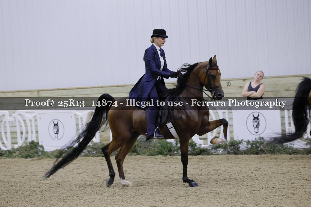 Proof 25R13_14874