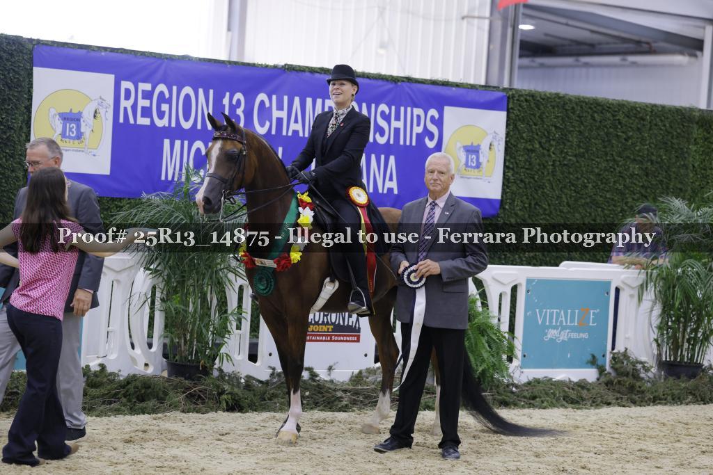 Proof 25R13_14875