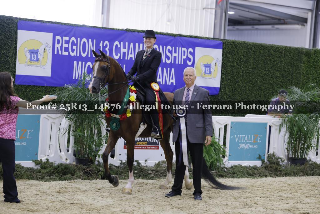 Proof 25R13_14876