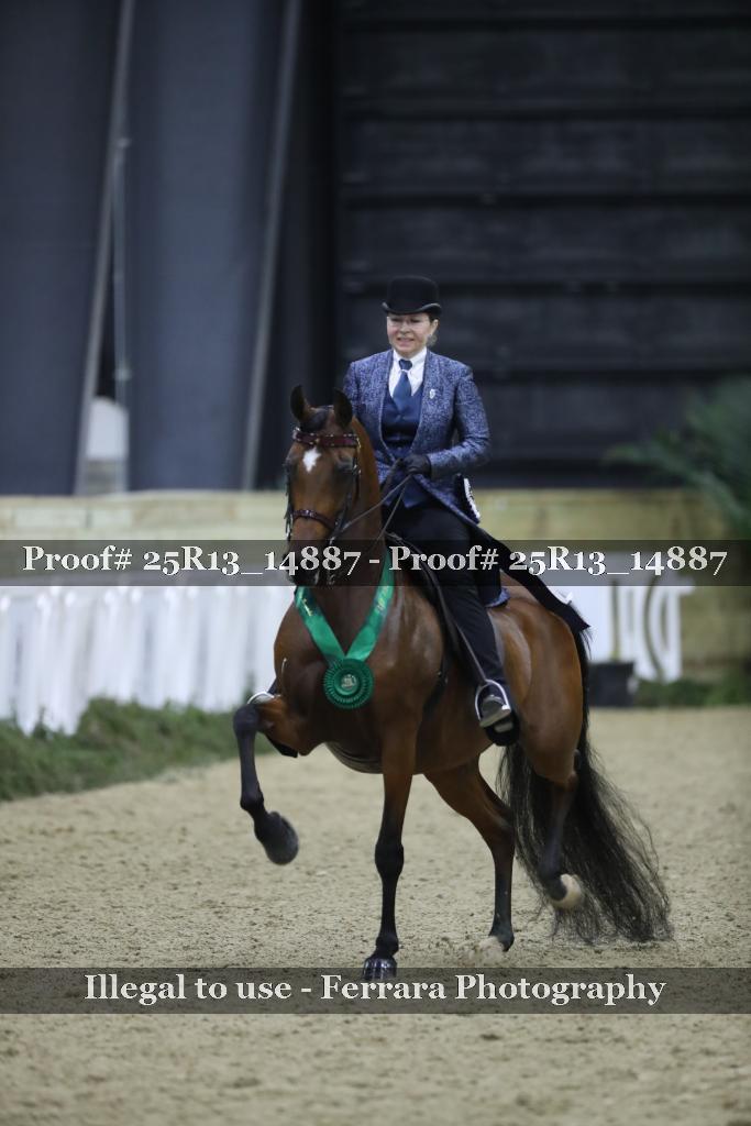 Proof 25R13_14887