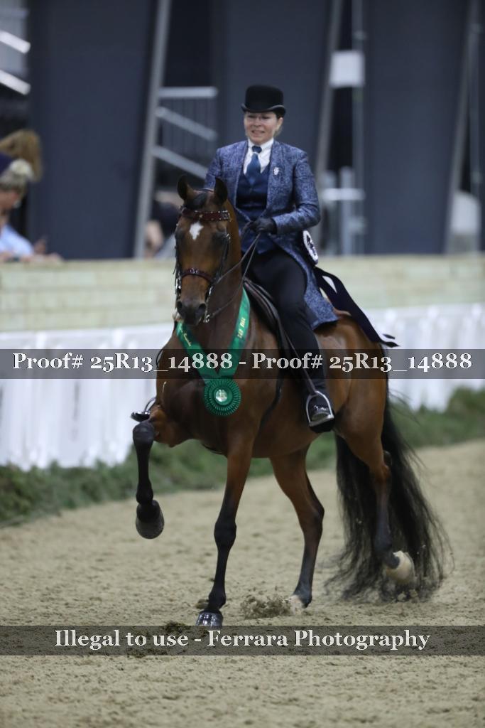 Proof 25R13_14888