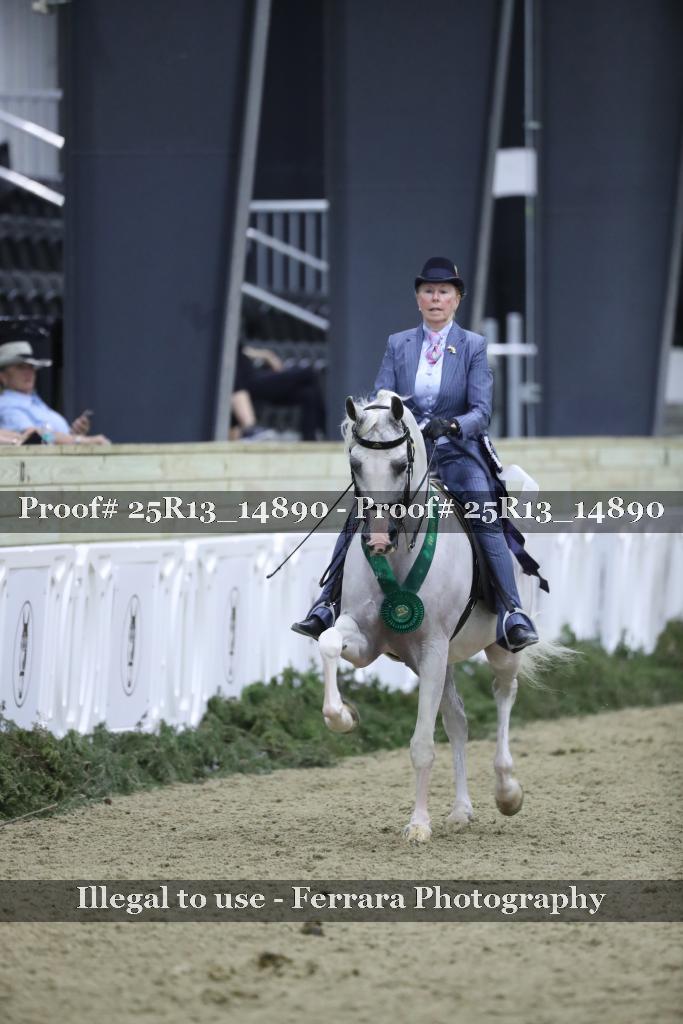 Proof 25R13_14890