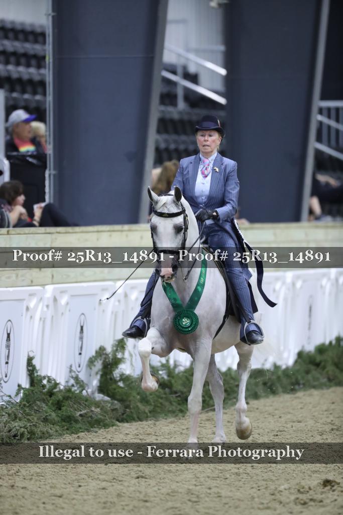 Proof 25R13_14891