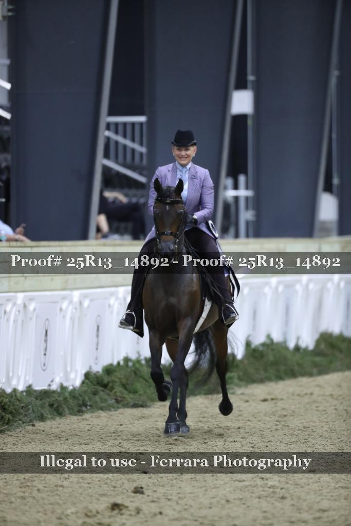 Proof 25R13_14892