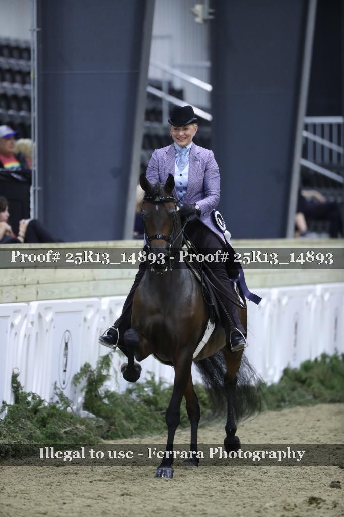Proof 25R13_14893
