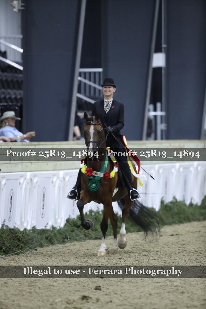 Proof 25R13_14894