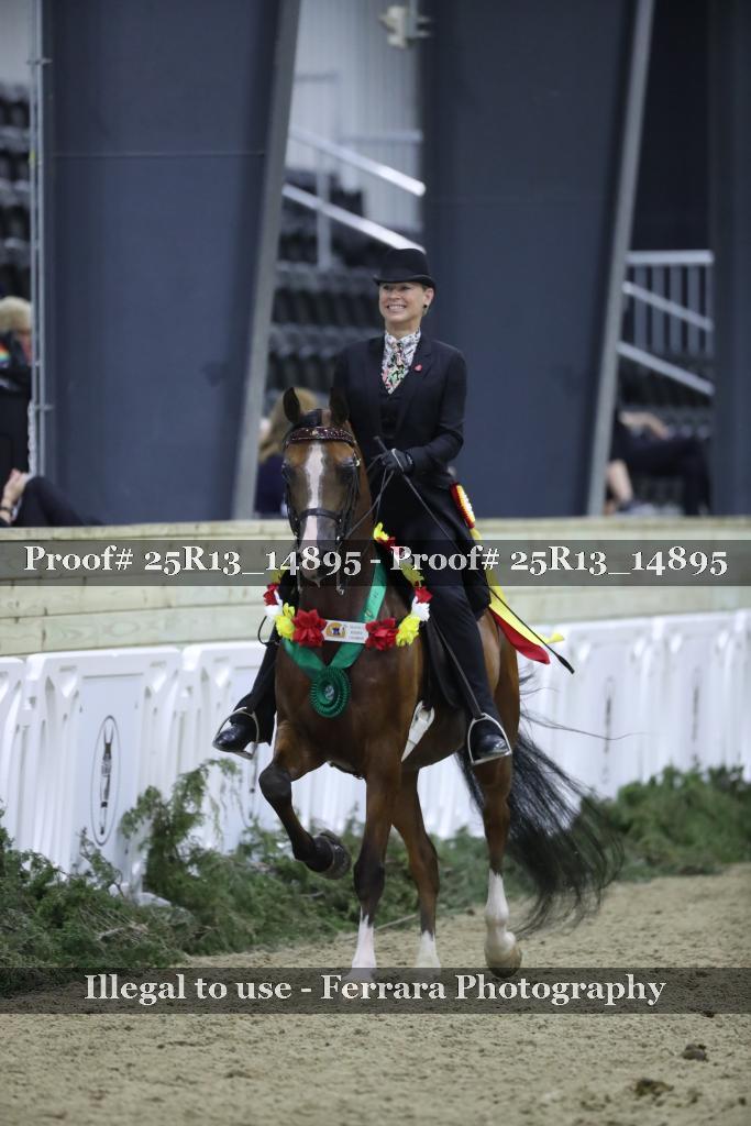 Proof 25R13_14895