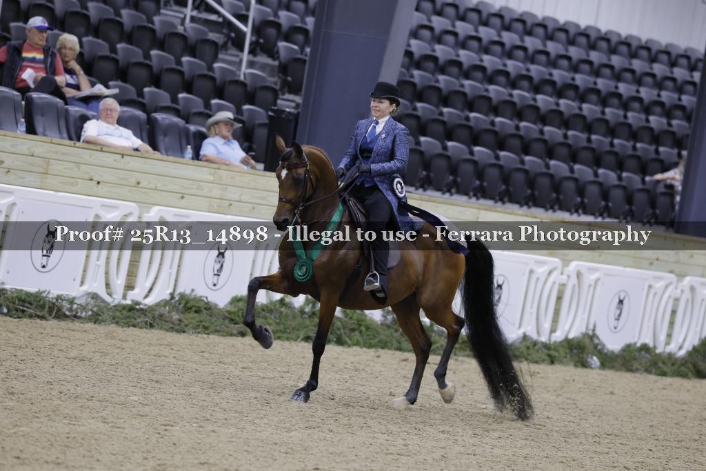 Proof 25R13_14898