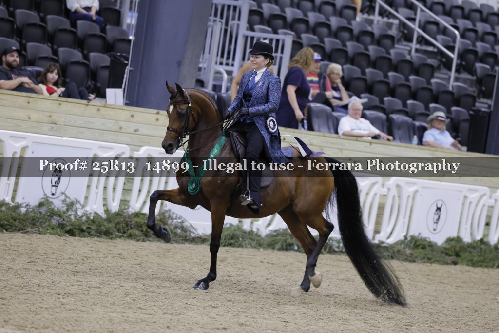 Proof 25R13_14899