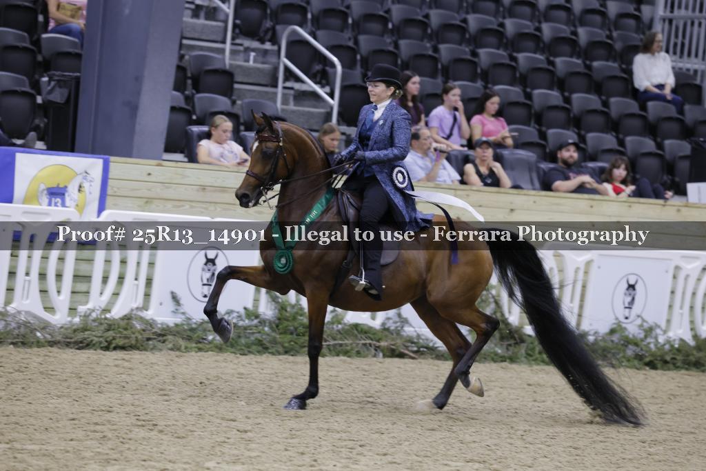 Proof 25R13_14901