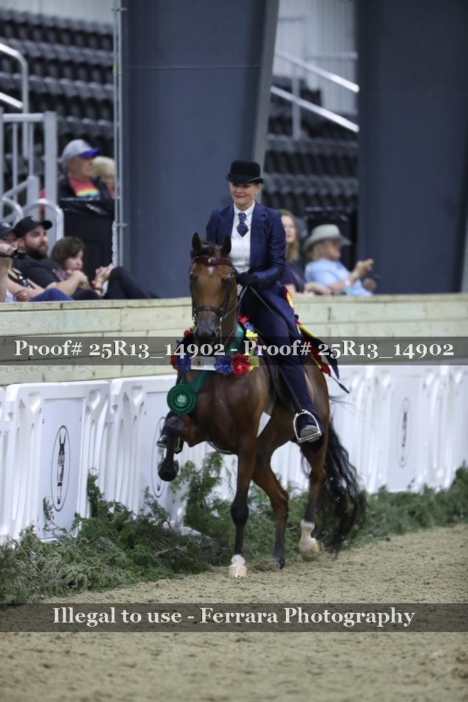 Proof 25R13_14902