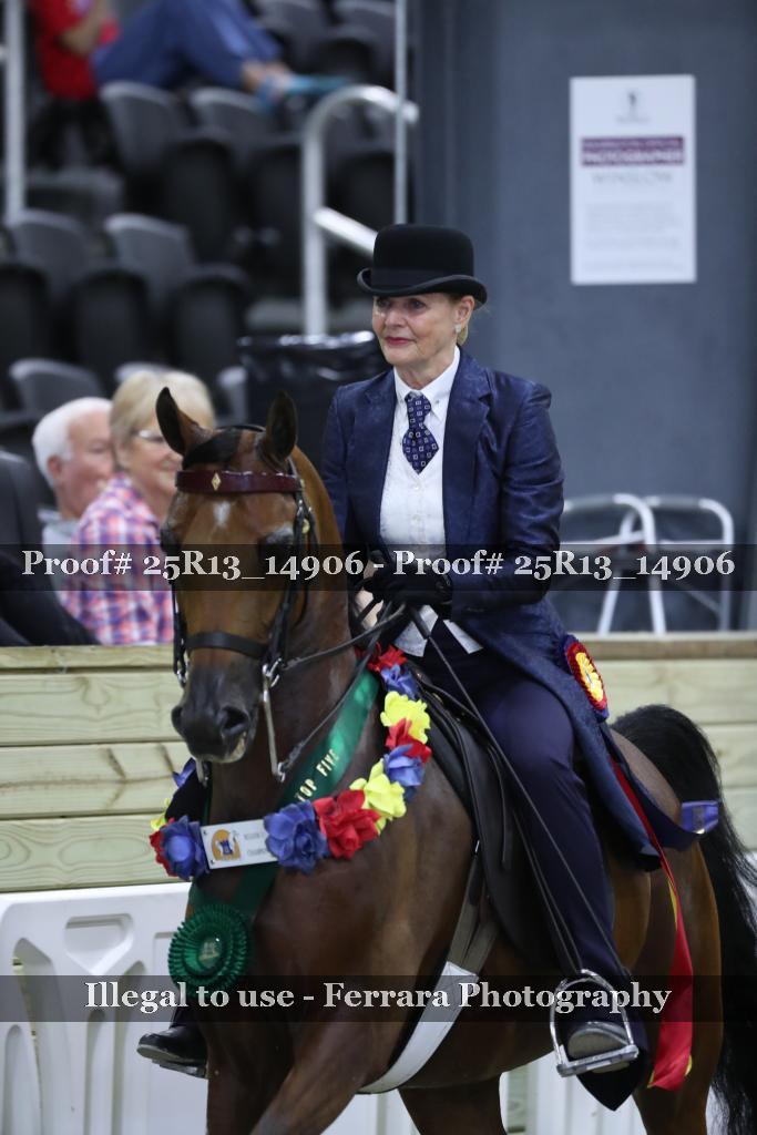 Proof 25R13_14906