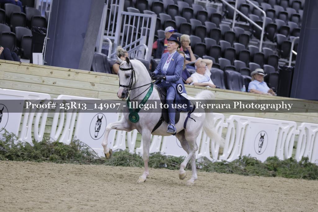 Proof 25R13_14907