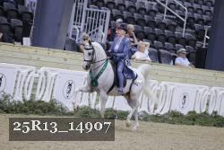 25R13_14907 proof