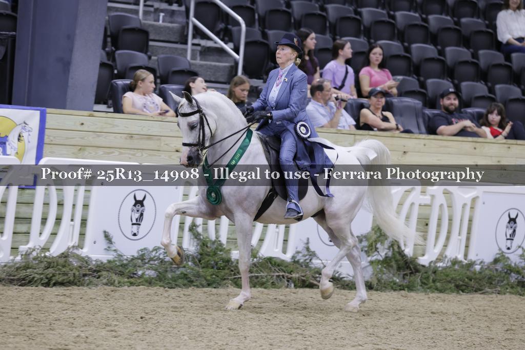 Proof 25R13_14908