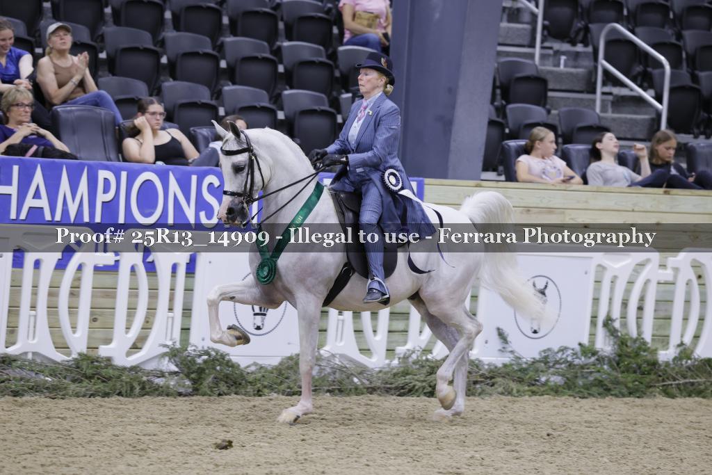 Proof 25R13_14909