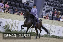 25R13_14911 proof