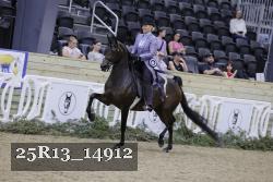 25R13_14912 proof