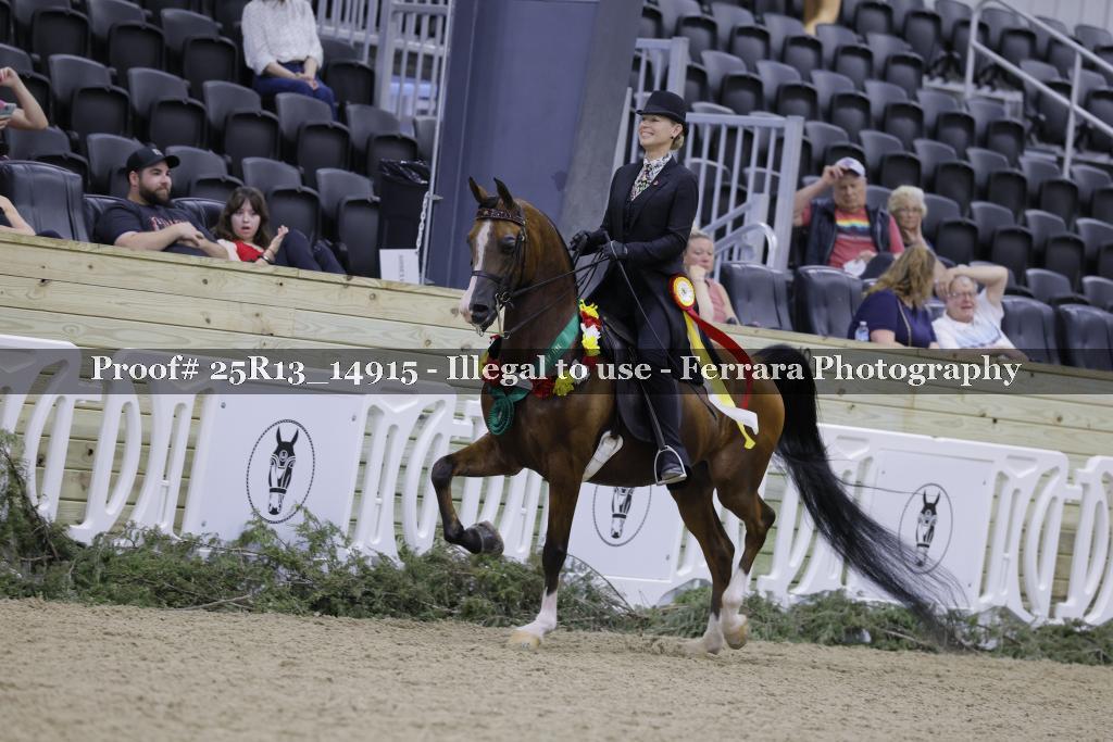Proof 25R13_14915
