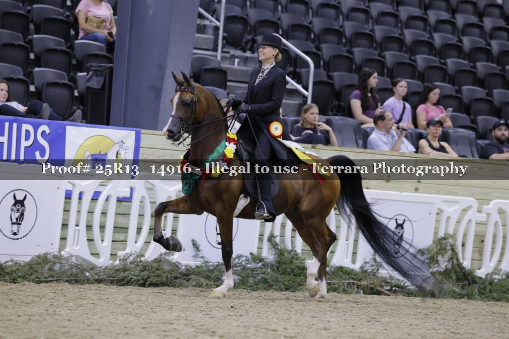 Proof 25R13_14916