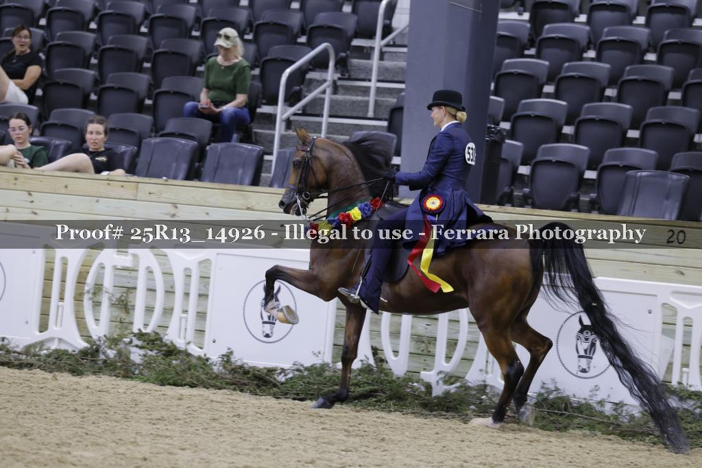 Proof 25R13_14926
