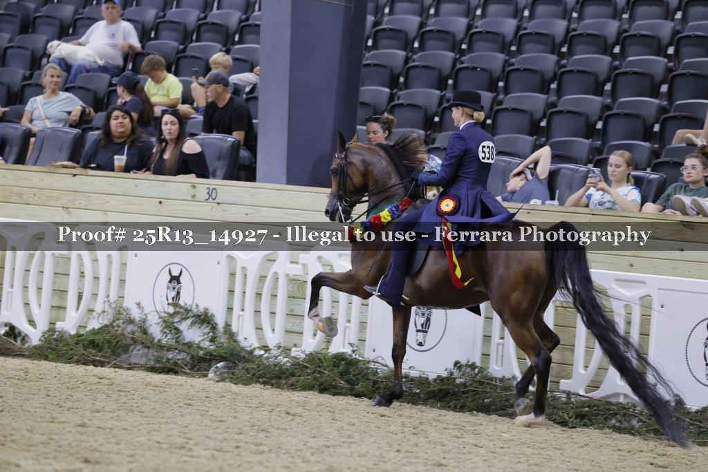 Proof 25R13_14927