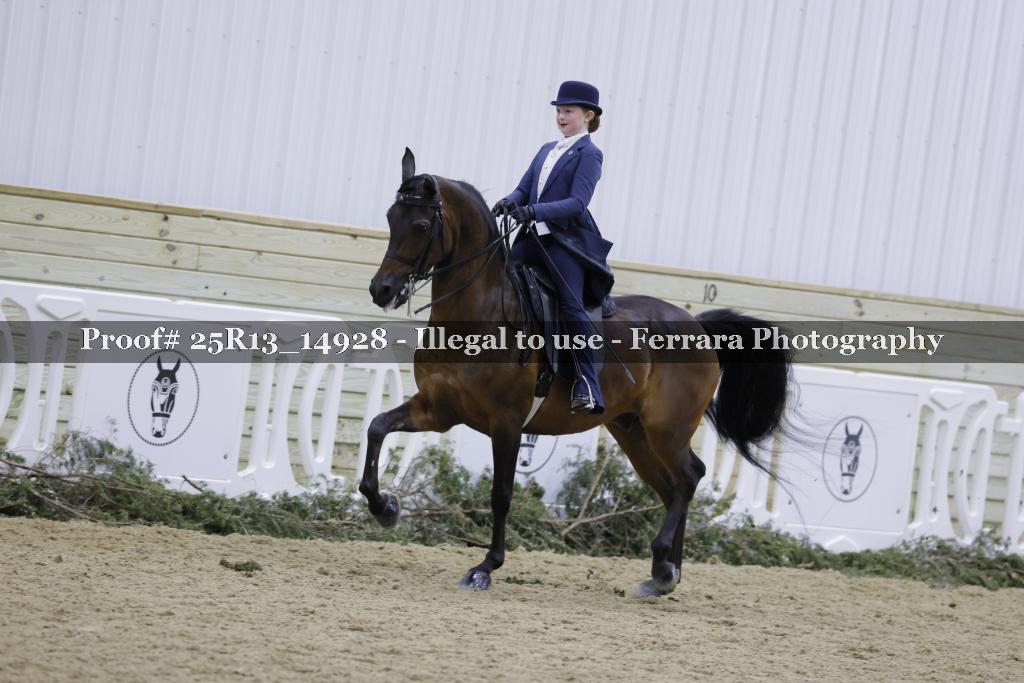 Proof 25R13_14928