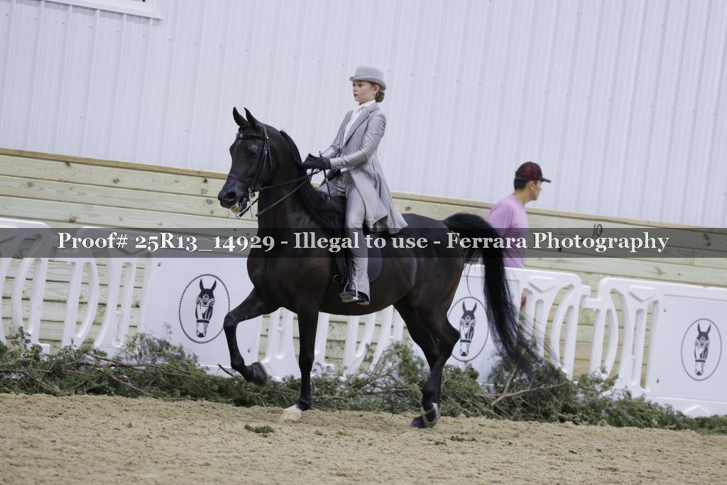Proof 25R13_14929