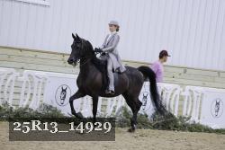 25R13_14929 proof