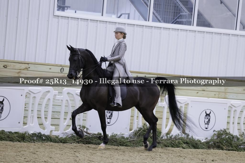 Proof 25R13_14930