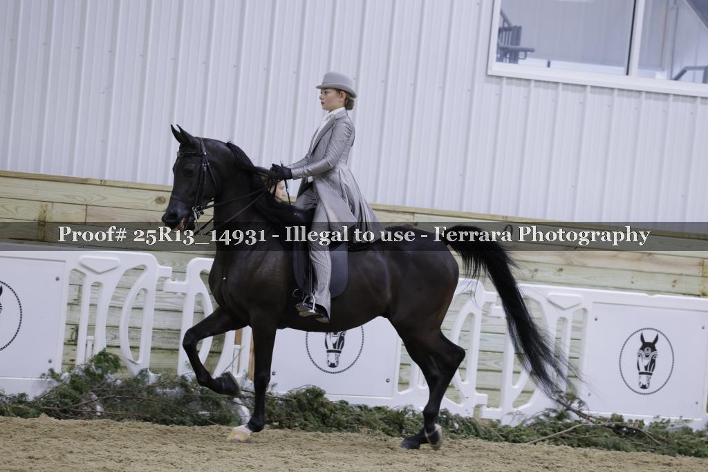 Proof 25R13_14931