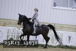 25R13_14931 proof