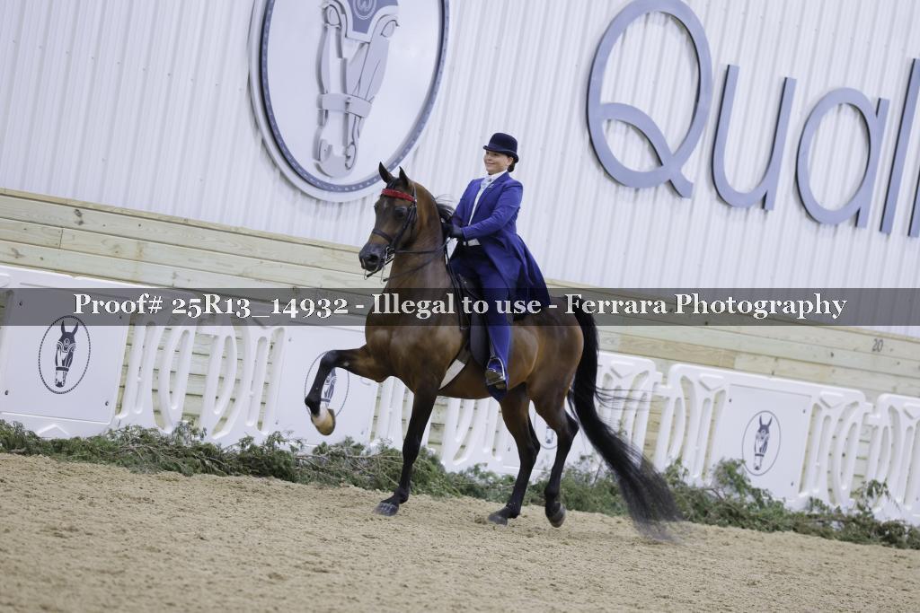 Proof 25R13_14932